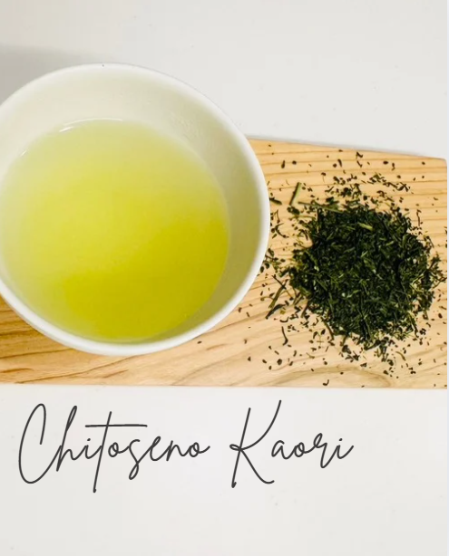 Chitoseno Kaori